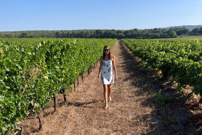 Marseille Shore Excursion - Full Day Wine Tour in Provence - Should You Book This Marseille to Provence Wine Tour?
