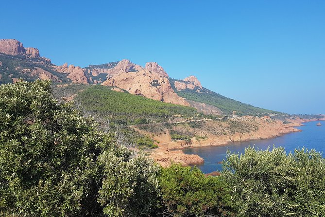 MARSEILLE Shore Excursion : Taste of Provence Aix and Cassis - Comfort that matters when you have only one day