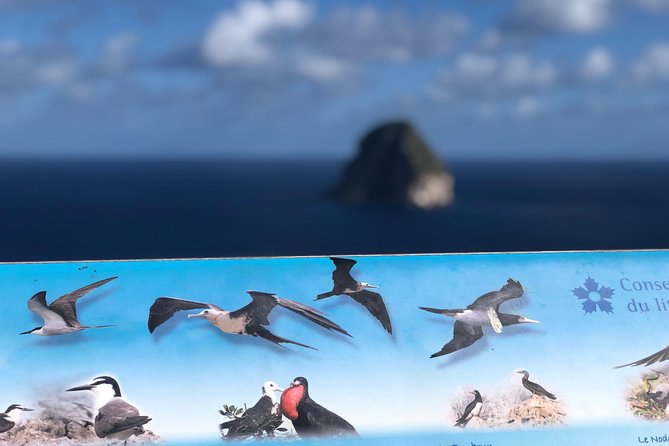 Martinique Shore Excursion - Authentic Tour of Southern Martinique - Port day done right: what 5 hours feels like