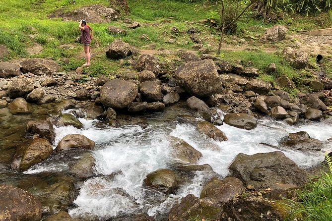 Martinique Shore Excursion - Unmissable Martinique North tour - Price and Logistics: does it add up?
