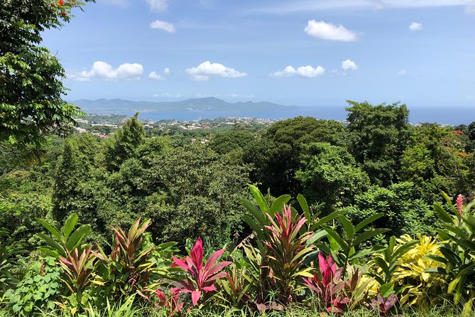 Martinique Shore Excursion - Unmissable Martinique North tour - What the drinks add (and how to plan your day)