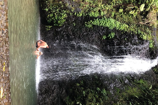 Martinique Shore Excursion - Unmissable Martinique North tour - Guides and the small-group feel: where the day really wins
