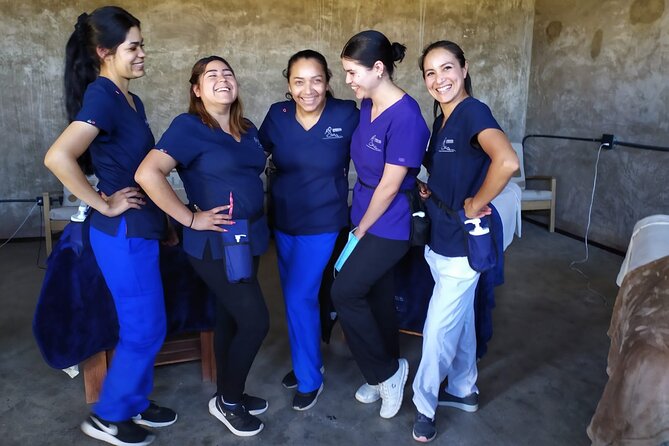Massage Experience with Certified Therapists & Pickup Drop-Off - Should you book Ensenada Massage?