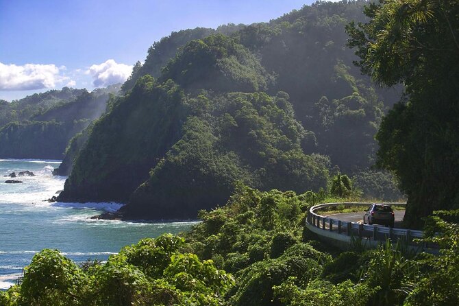 Maui Shore Excursions : Road to Hana With Pickup & Lunch - Key highlights you’ll feel right away