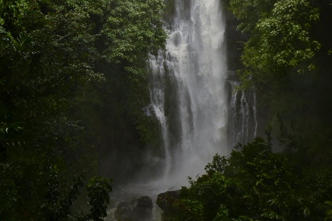Maui Shore Excursions : Road to Hana With Pickup & Lunch - Logistics you should plan for: timing, meet points, and photo reality