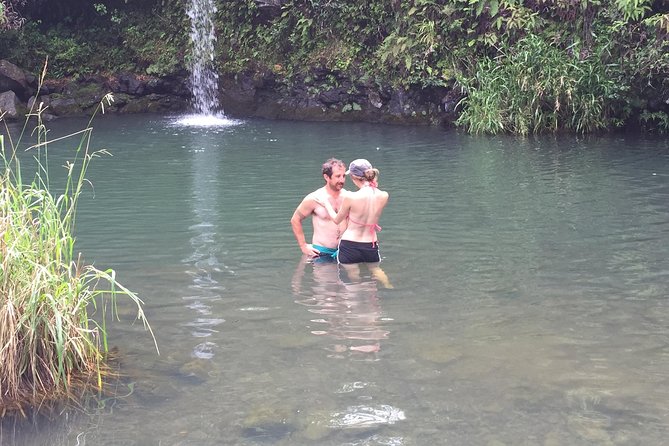 Maui Shore Excursions : Road to Hana With Pickup & Lunch - Who should book this Road to Hana tour?
