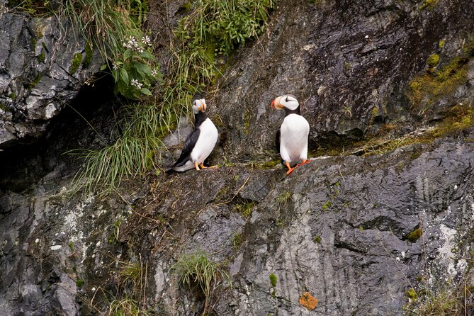 Meares Glacier Cruise Excursion from Valdez - A full-day Valdez cruise built around Meares calving