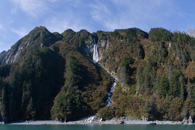 Meares Glacier Cruise Excursion from Valdez - What the guide and crew add to the experience
