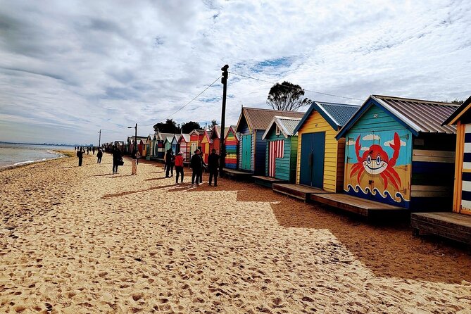 Melbourne and Moonlit Sanctuary Shore Excursion - Why This Tour Feels Built for Cruise Timelines