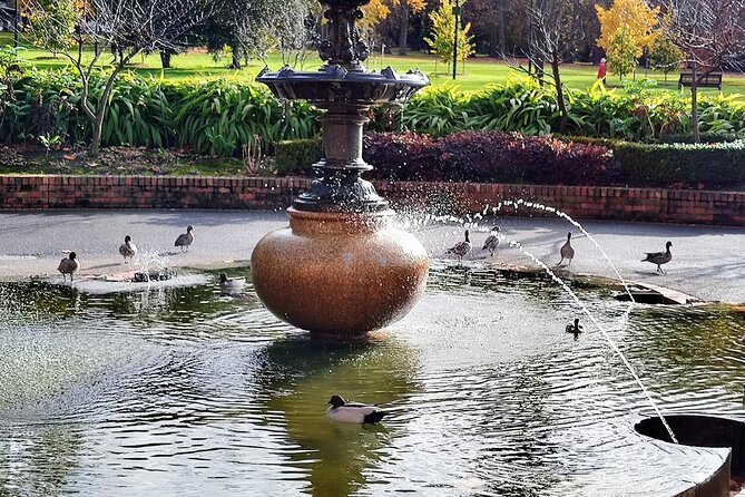 Melbourne and Moonlit Sanctuary Shore Excursion - Quick Hits You Should Know Before You Go