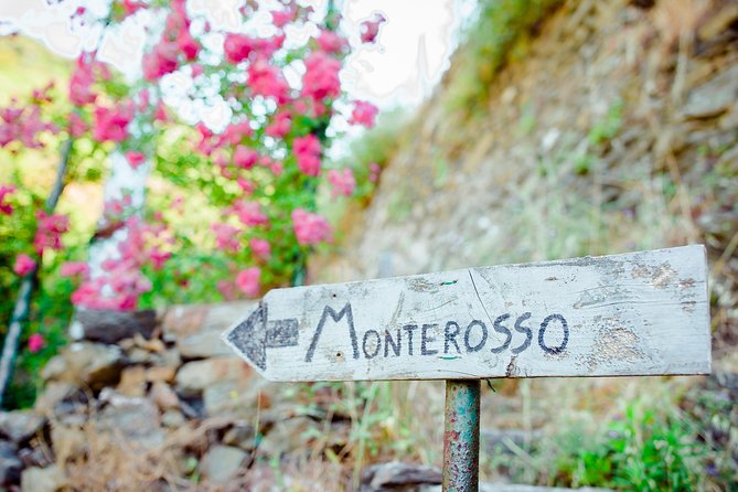 Monterosso and Portofino Shore Excursion from La Spezia - Why This La Spezia Shore Excursion Feels Efficient
