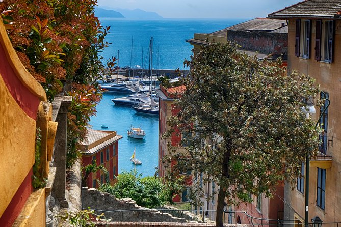 Monterosso and Portofino Shore Excursion from La Spezia - Splendido Mare Scenic Road: The 15-Minute View Stretch