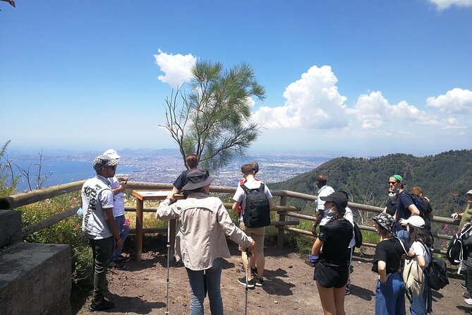 Mount Vesuvius Shore Tour, Pompeii & Winery Vesuvius Winery - Physical pace: moderate effort, long sightseeing blocks