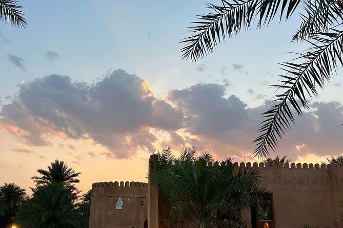 Muscat Shore Excursion: Private Nizwa Day Trip - Pace, physical demand, and who should book it
