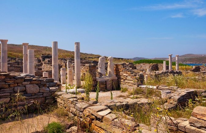 Mykonos Shore Excursion: Private Tour to Delos Island - A Half-Day on Delos: Why Private Beat DIY on a Port Day