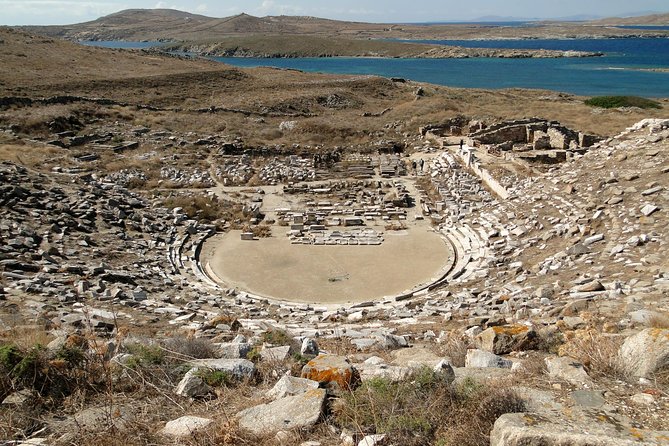 Mykonos Shore Excursion: Private Tour to Delos Island - Private Tour Reality: Where the “Private” Part Shows Up