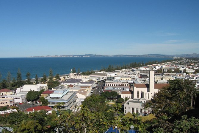 Napier Shore Excursion: City Sights and Hawke's Bay Tour - Key Highlights You’ll Actually Feel