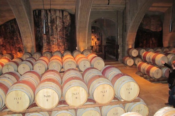 Napier Shore Excursion: Wine & Art Deco Tour - Key things to know before you go