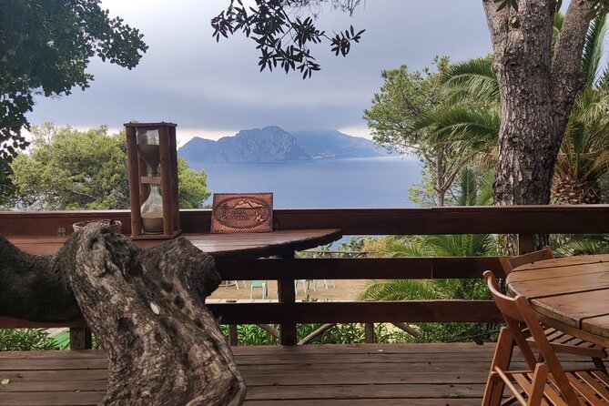Naples port tour Sorrento and pompeii and overview of positano - Value check: what you’re really paying for at $708.90 per group