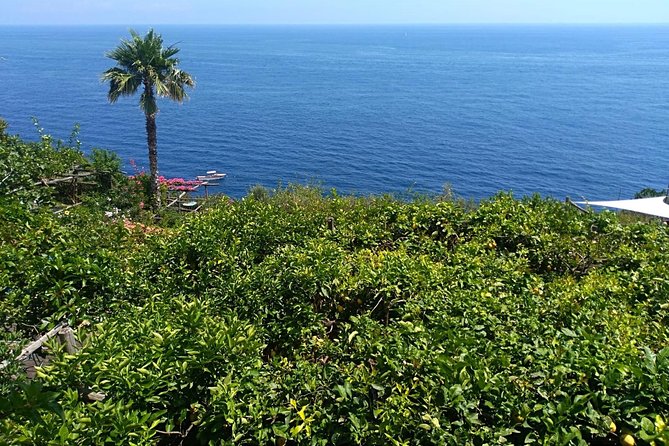 Naples port tour Sorrento and pompeii and overview of positano - What to ask for if you want this day to feel even more personal