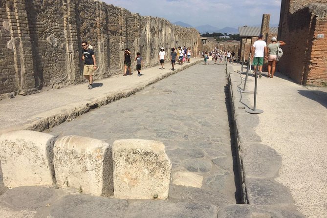Naples Shore Excursion: Pompeii and Sorrento Day Trip - Should You Book the Pompeii and Sorrento Day Trip?