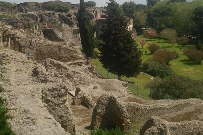 Naples Shore Excursion: Pompeii Half Day Trip from Naples - Guide Quality: The Difference Between Notes and a Story