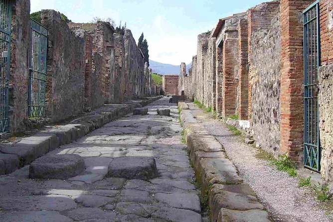 Naples Shore Excursion: Pompeii Half Day Trip from Naples - Meeting the Van at Stazione Marittima or Pier 21