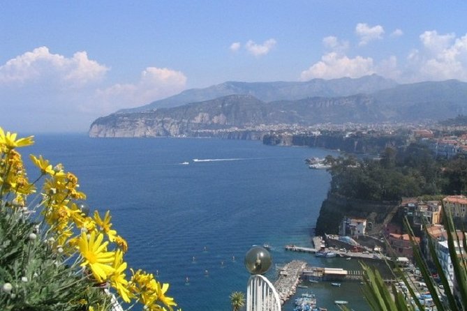 Naples Shore Excursion: Private Tour to Sorrento, Positano, and Amalfi - How This Private Driver Plan Works From Naples Port