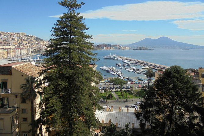Naples Shore Excursion:Small Group Naples City Sightseeing Tour - Two Hours Starts Early: Port Pickup and Pacing