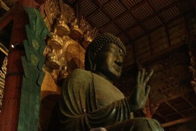 Nara private tour (Shore excursion available from Osaka or Kobe port) - Price and Logistics: What $235 Covers (and What You’ll Pay Extra)