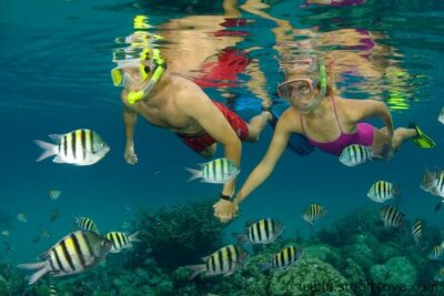 Nassau Shore Excursion: Bahamas Snorkel Adventure - Your Snorkel Itinerary: How the Three Hours in the Water Play Out