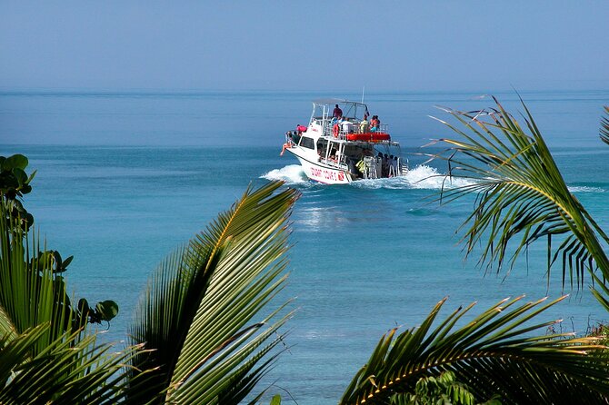 Nassau Shore Excursion: Bahamas Snorkel Adventure - Price and Value: Is $143.88 a Good Deal for This Nassau Shark Snorkel?