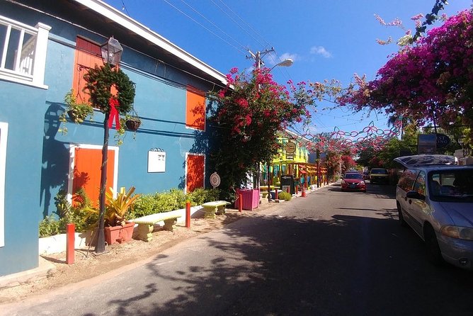 Nassau Shore Excursion: Sightseeing and Snorkeling Tour - From Your Cruise Dock to Nassau’s Sights, Without the Headache