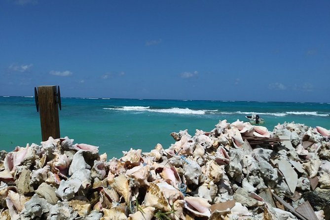 Nassau Shore Excursion: Sightseeing and Snorkeling Tour - Price and Value: When $220 Makes Sense (and When It Doesn’t)