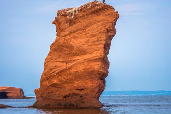 New Brunswick Shore Excursion: Bay of Fundy and More Highlights Tour - Key Things That Make This Tour Worth a Look