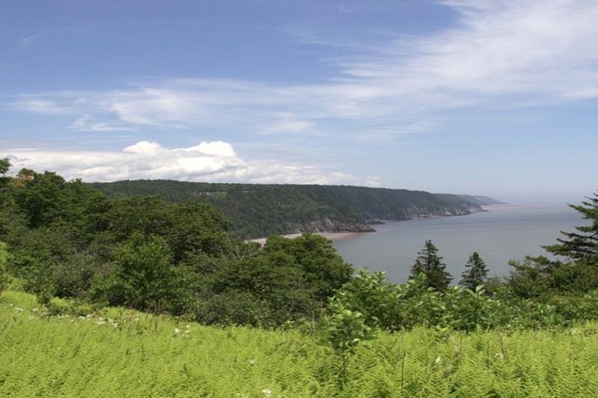 New Brunswick Shore Excursion: Bay of Fundy and More Highlights Tour - Reversing Falls and the World’s Tides: What Makes This Bay of Fundy Stop Special