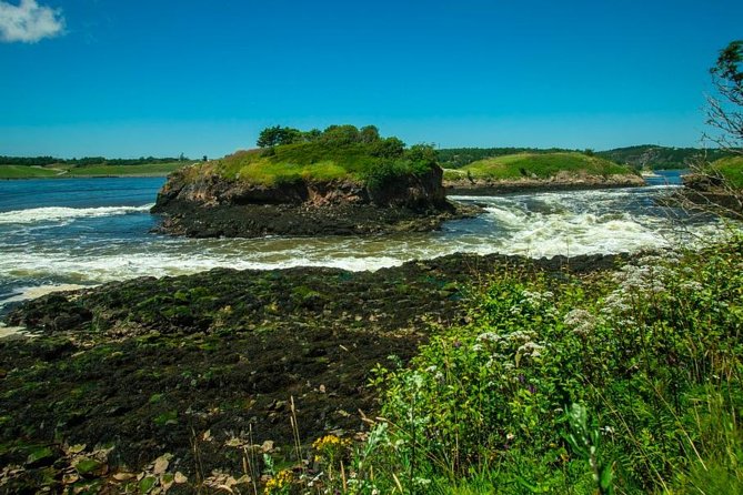 New Brunswick Shore Excursion: Bay of Fundy and More Highlights Tour - Price, Inclusions, and What’s Not Covered in a $168.11 Half-Day