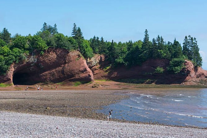 New Brunswick Shore Excursion: Bay of Fundy and More Highlights Tour - Should You Book This Bay of Fundy and More Tour?