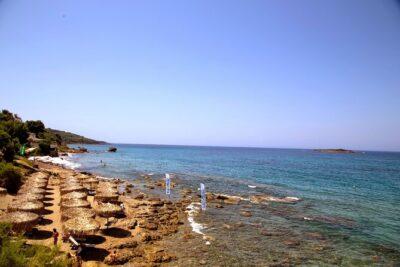 Olympia shore Excursion - 4 hour tour (Olympia, Olive press, Beach) - Price and Logistics: What You’re Really Paying For