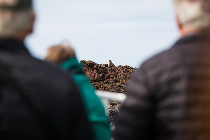 Otago Harbour Wildlife Cruise (Dunedin Shore Excursion) - Stop 2: Otago Harbour—bays, islands, fishing villages, and bird-marine mix