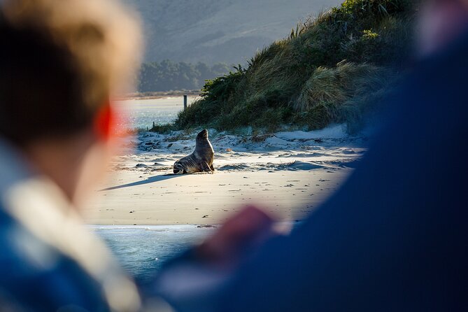 Otago Harbour Wildlife Cruise (Dunedin Shore Excursion) - Who this cruise is perfect for (and who should think twice)