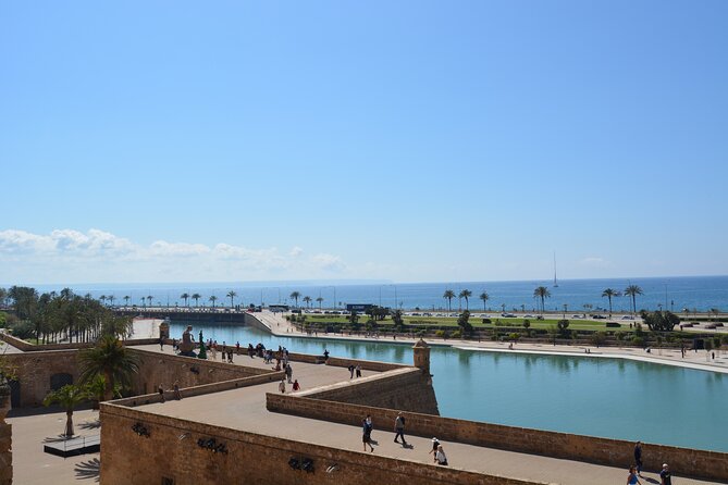 Palma de Mallorca Shore Excursion Bike Tour (Transfer Included) - Guides, Pace, and Real-World Tips That Matter on a Hot Port Day