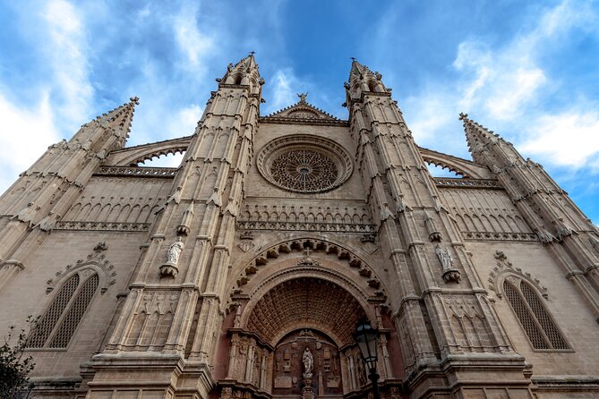 Palma de Mallorca Shore Excursion: Palma, Deia and Sa Foradada - Who leads matters: what to look for in a great guide