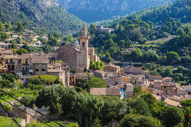 Palma de Mallorca Shore Excursion: Private Tour of Valldemossa, Soller and Serra de Tramuntana - What makes the private guide feel different (and actually useful)