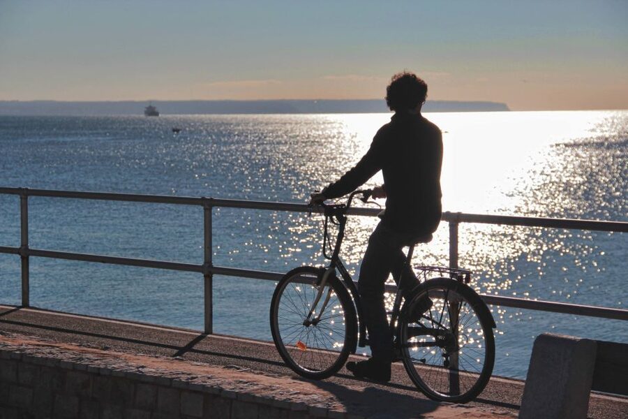 Palma Shore Excursion Bike Tour (Transfer Included) - Key points you’ll care about