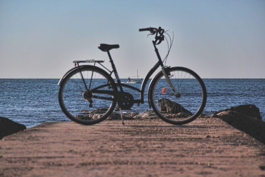 Palma Shore Excursion Bike Tour (Transfer Included) - The day’s rhythm: a longer break at Plaça del Rosari
