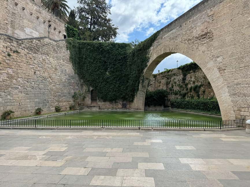 Palma Shore Excursion Bike Tour (Transfer Included) - Why a Palma Shore Bike Tour works better than doing it solo
