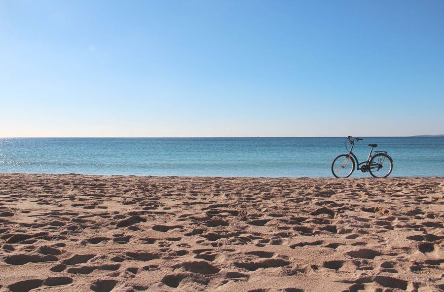 Palma Shore Excursion Bike Tour (Transfer Included) - Old Town orientation at Plaça del Rosari and Es Baluard