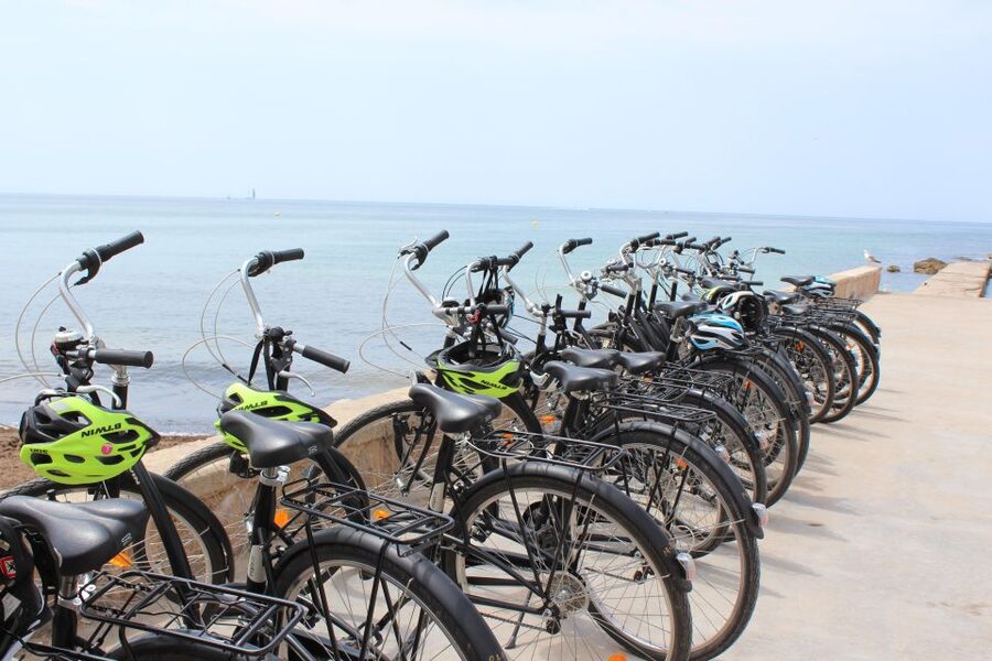 Palma Shore Excursion Bike Tour (Transfer Included) - Arab Baths, Convent de Santa Clara, and Church of Santa Eulalia