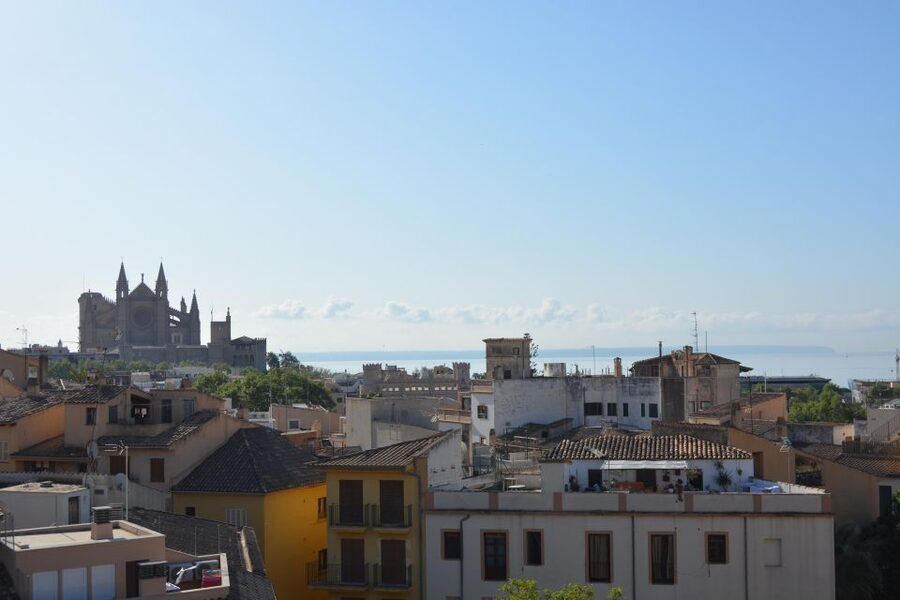 Palma Shore Excursion Bike Tour (Transfer Included) - Seaside time at Parc de la Mar: views plus a breather